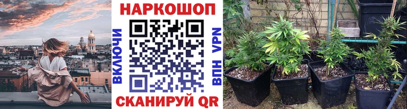 Где купить наркоту Асино ОМГ ОМГ tor  Меф  ГАШИШ  Марихуана  Кокаин  АМФ  Псилоцибиновые грибы 