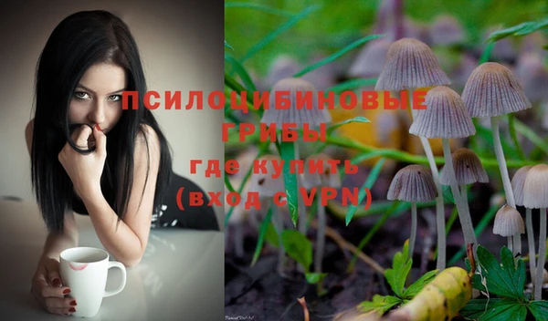 ECSTASY Алексеевка