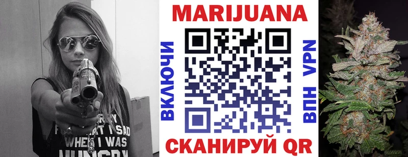 Конопля план  Асино 